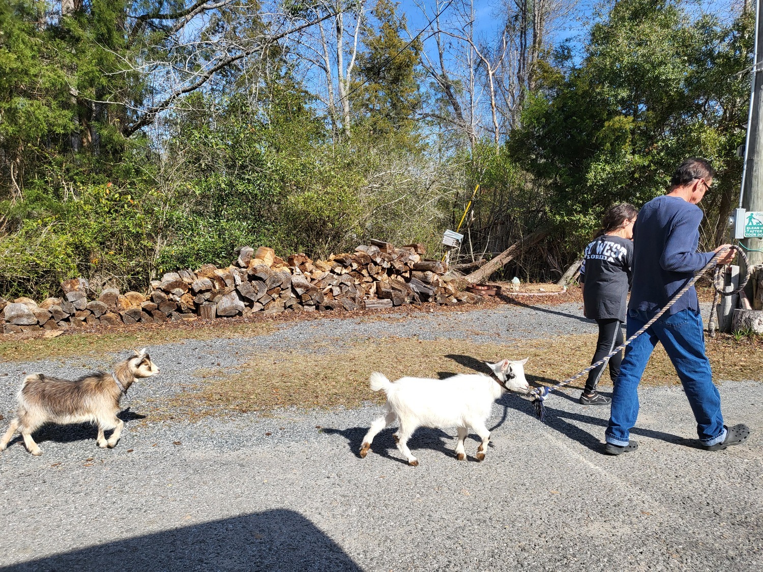 HitchinPost RV Park and Campground