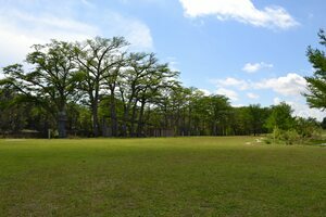 Blue Oak Rv Park Kerrville Tx 13