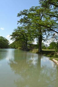 Blue Oak Rv Park Kerrville Tx 16