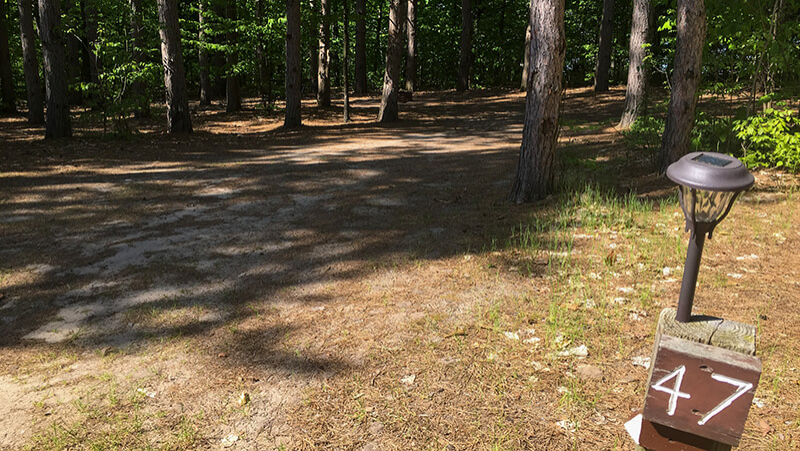 Whitewater Township Park Williamsburg Mi 46