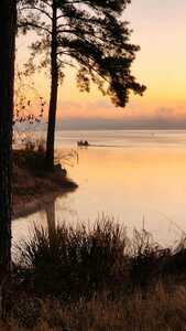Huxley Bay Marina And Rv Park Shelbyville Tx 16