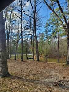 Huxley Bay Marina And Rv Park Shelbyville Tx 17