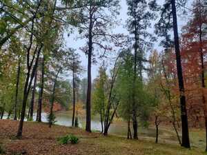 Huxley Bay Marina And Rv Park Shelbyville Tx 19