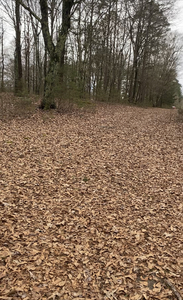 Four Bears Rv Park   Campground Gamaliel Ar 1