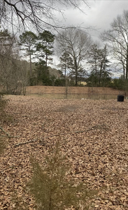 Four Bears Rv Park   Campground Gamaliel Ar 3