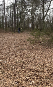 Four Bears Rv Park   Campground Gamaliel Ar 4