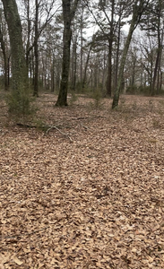 Four Bears Rv Park   Campground Gamaliel Ar 5