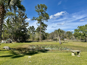Whispering Pines Rv Park Silver Springs Fl 3
