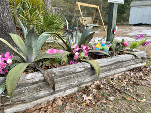Old Town Campground  Age Restricted 55   Old Town Fl 0