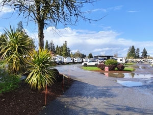 Meadowlark Rv Park  Creswell Or 3