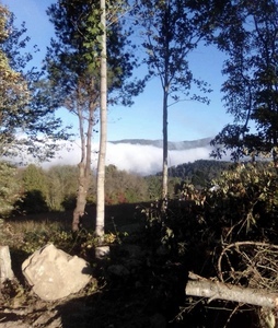 Little Pond Mountain Campground Hampton Tn 7