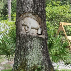 Old Town Campground  Age Restricted 55   Old Town Fl 12