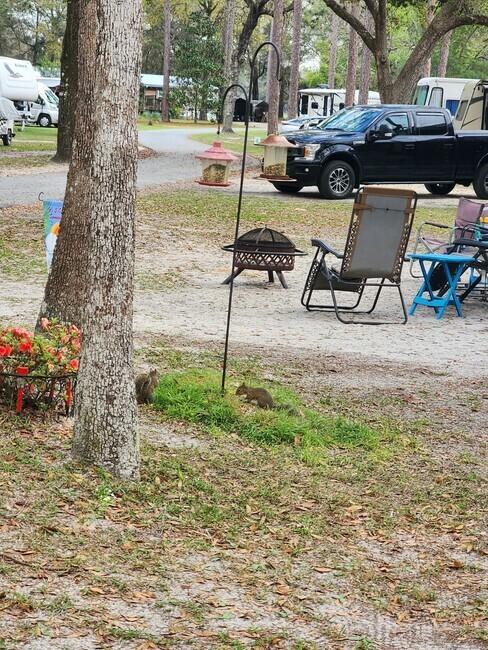 Old Town Campground  Age Restricted 55   Old Town Fl 16