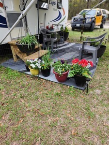 Old Town Campground  Age Restricted 55   Old Town Fl 19