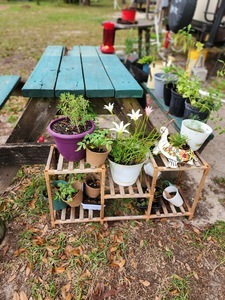 Old Town Campground  Age Restricted 55   Old Town Fl 20