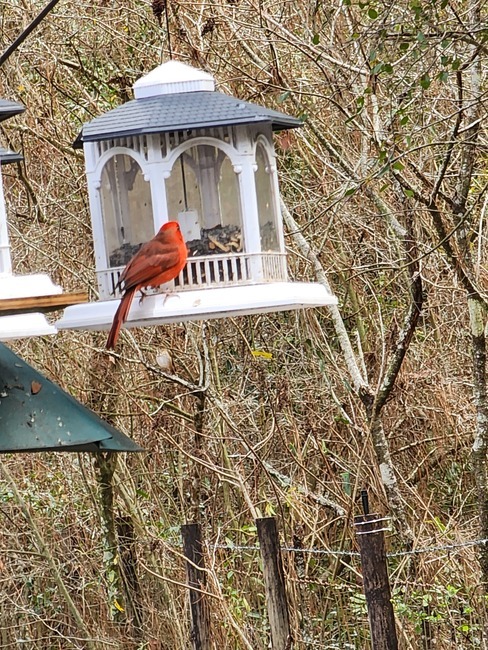 Old Town Campground  Age Restricted 55   Old Town Fl 24