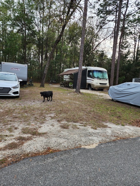 Old Town Campground  Age Restricted 55   Old Town Fl 25
