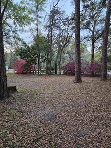 Old Town Campground  Age Restricted 55   Old Town Fl 27