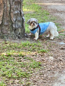 Old Town Campground  Age Restricted 55   Old Town Fl 30