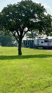 Beautiful trees all around the property.