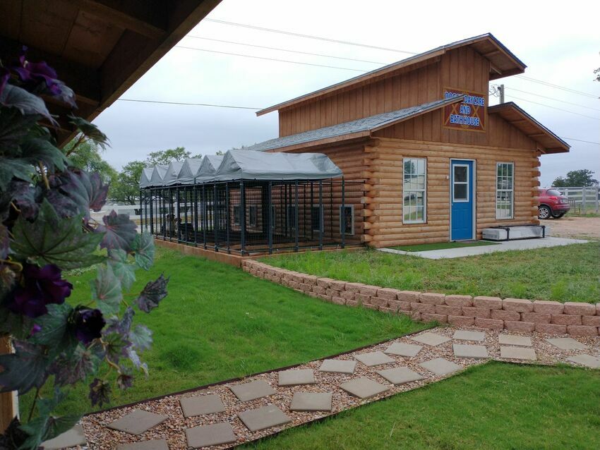 Doggie Dc December 2021