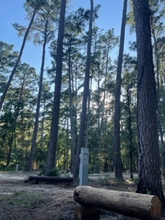 Img 1400