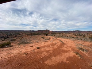 Img 9113