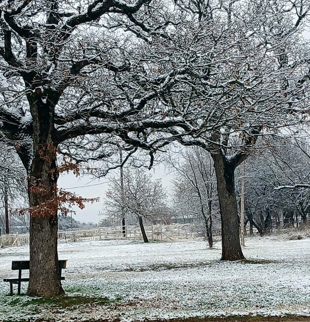 Beb14df773f042ce8bb889c50a1da3f6827b1715 1