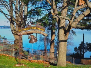 Whale Bell Park