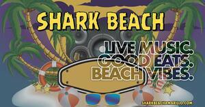Shark Beach