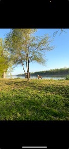 Photo 3 River Louie