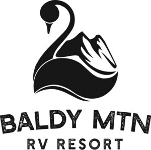 E8659c2dce51 Baldymt Logo Final