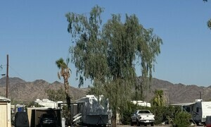 Kofa3 Pic