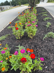 Flowerbedfront