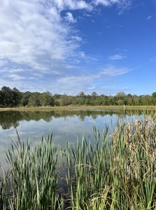 Fishingpond