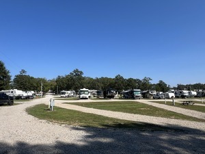 Bigcrowdatdeerrun