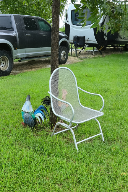 Rooster Chair