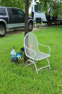 Rooster Chair