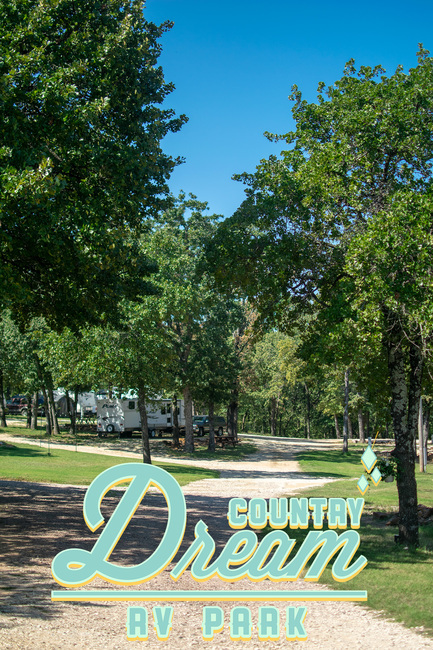 Enjoy your summer with us