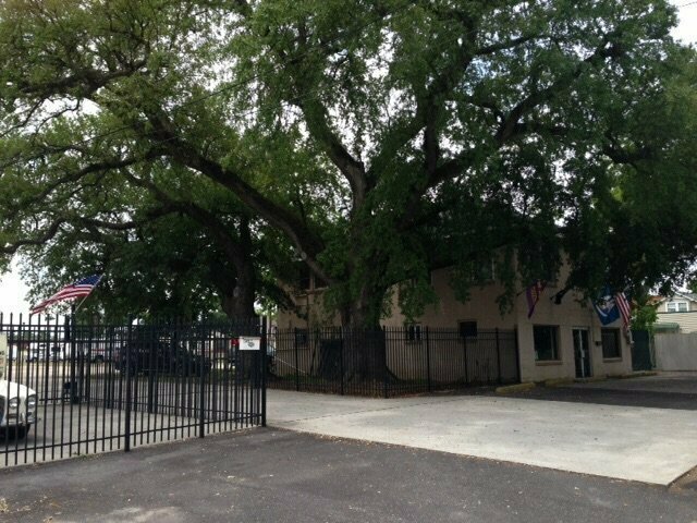 Three Oaks And A Pine Rv Park New Orleans La 4