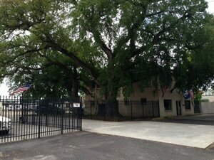 Three Oaks And A Pine Rv Park New Orleans La 4