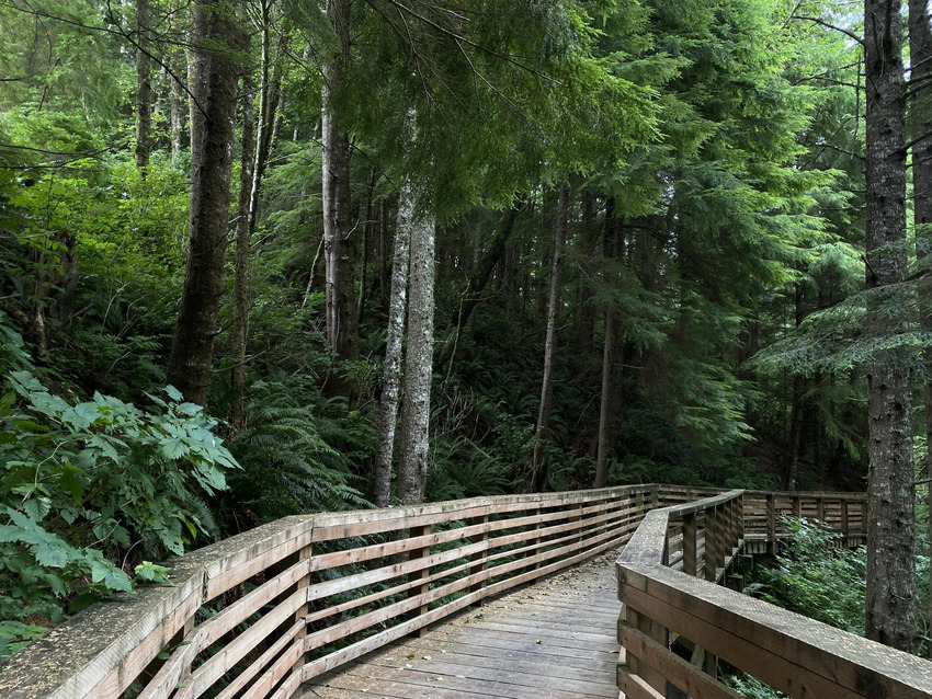 Discovery Trail Bridge J