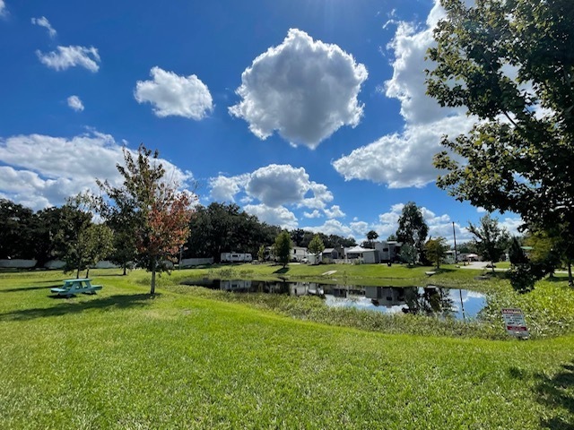 Pond View From North