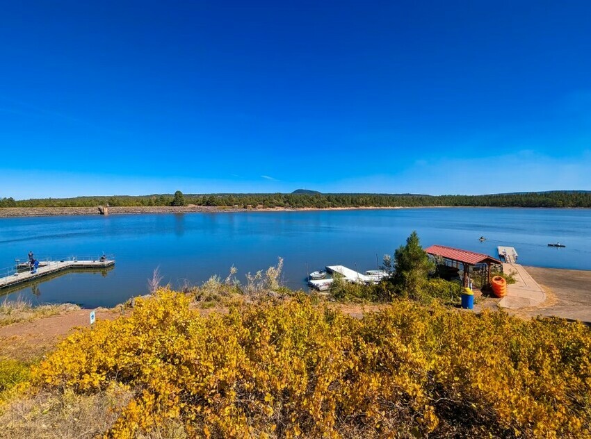 Captura De Pantalla 2025 12 12 174741