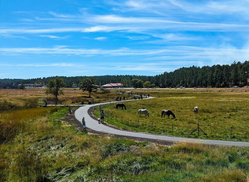 Captura De Pantalla 2025 12 12 174757
