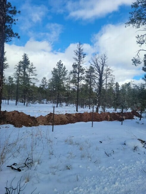 Captura De Pantalla 2025 12 12 174814