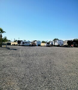 Pet Area