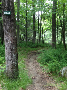 Sr3 Sign Trail To Campsite