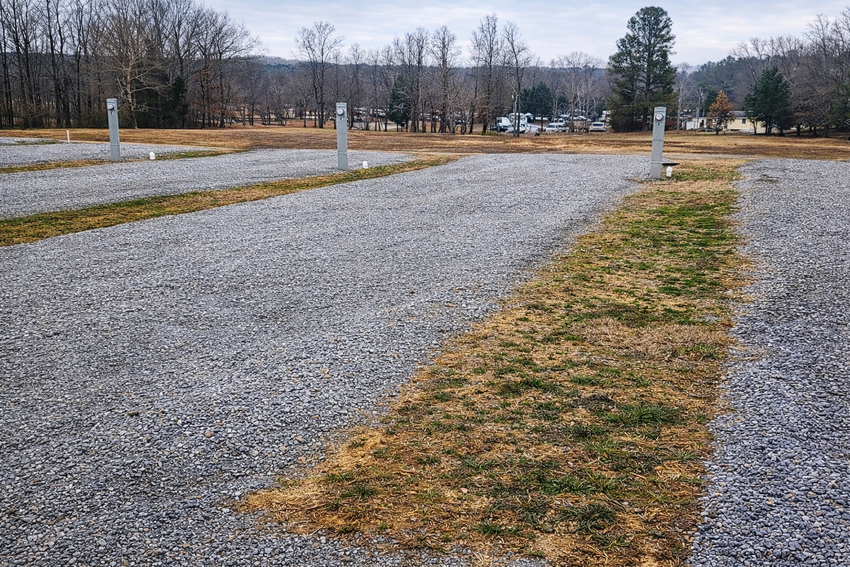 Chatgpt Image Feb 19  2026  07 53 48 Am