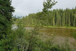 Gallery River